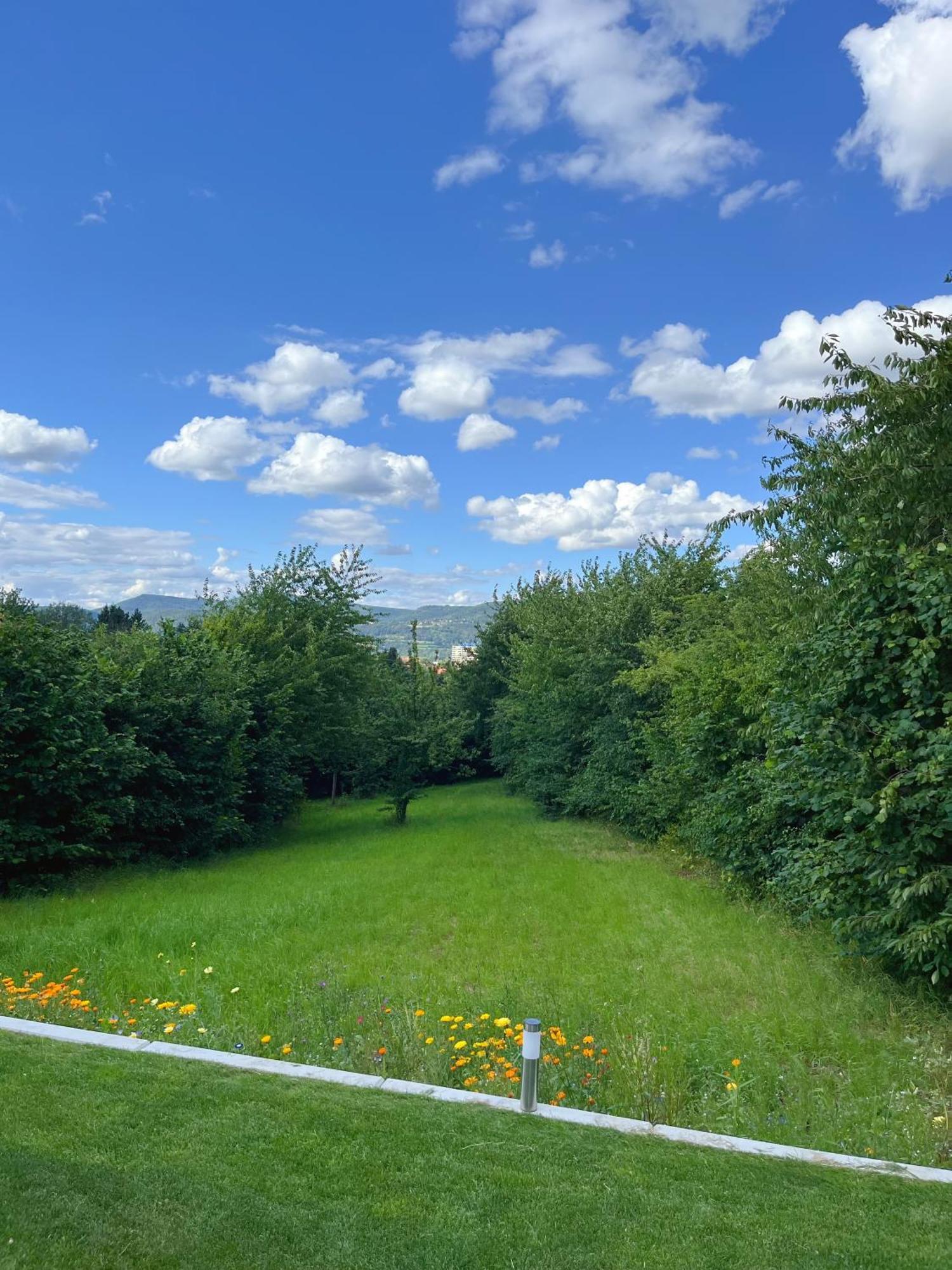 Neu Sanierte Wohnung Fuer 2-4 P Ешвеґе Екстер'єр фото